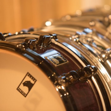 Snare close up